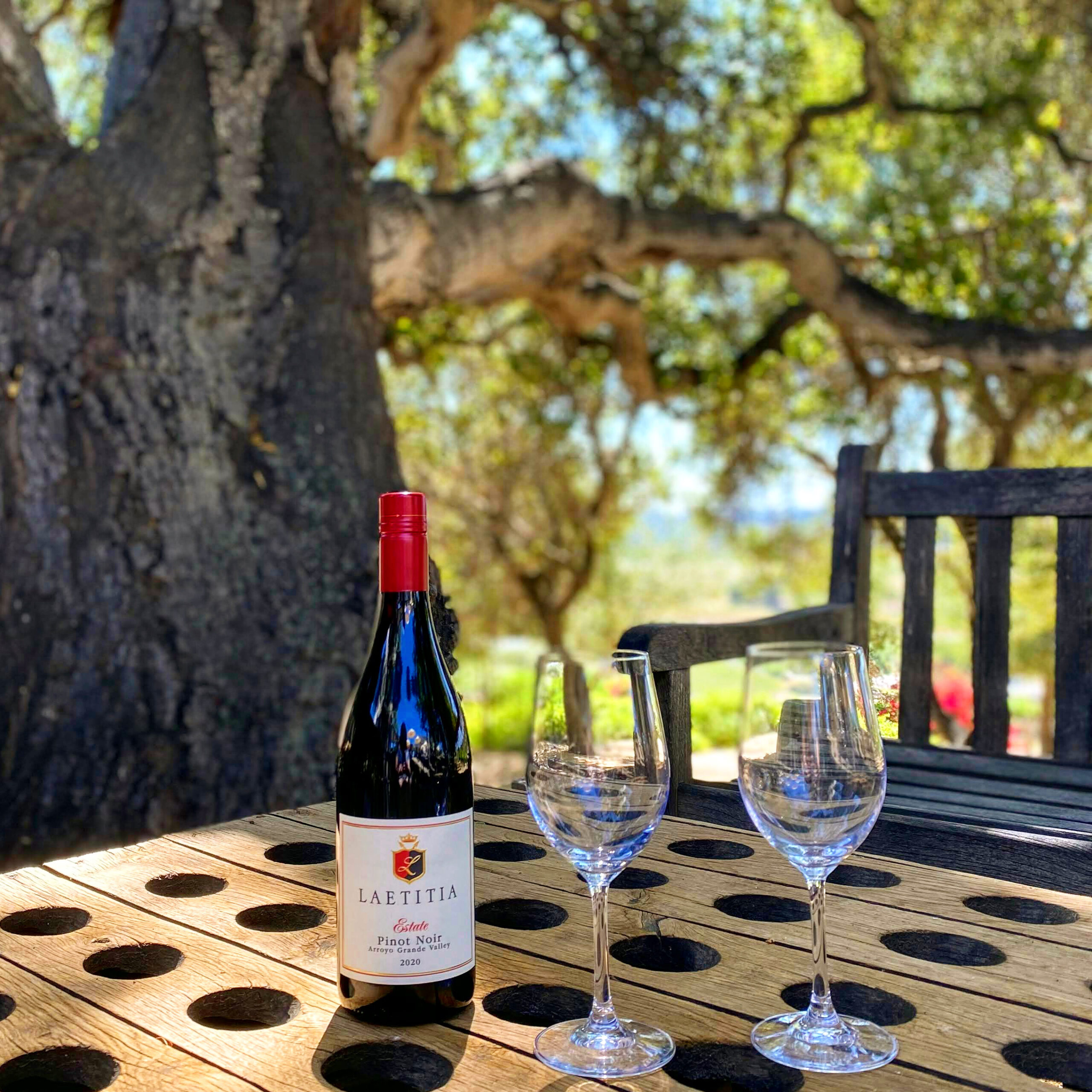 wine tasting at laetitia winery