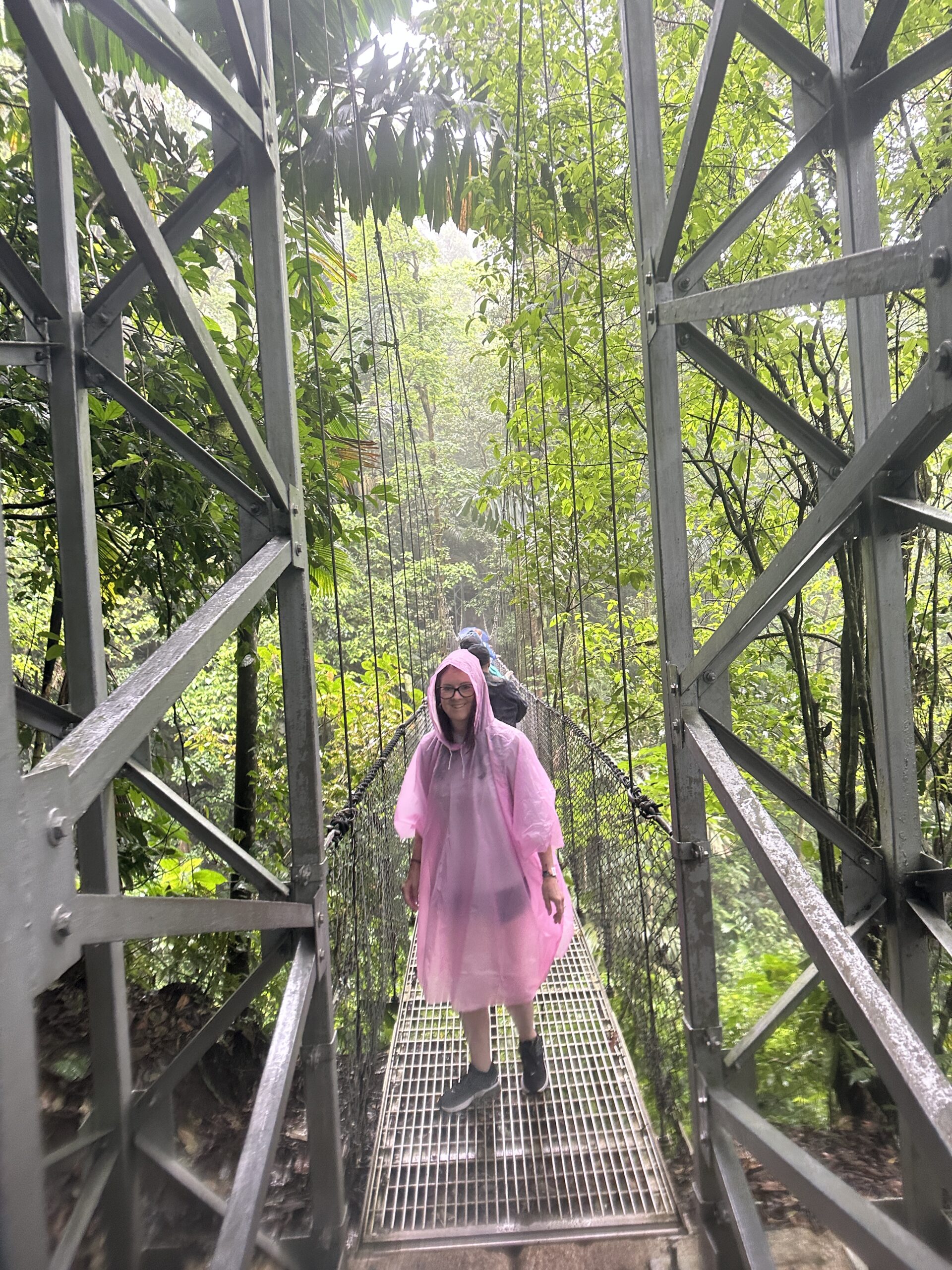 mistico bridges in costa rica