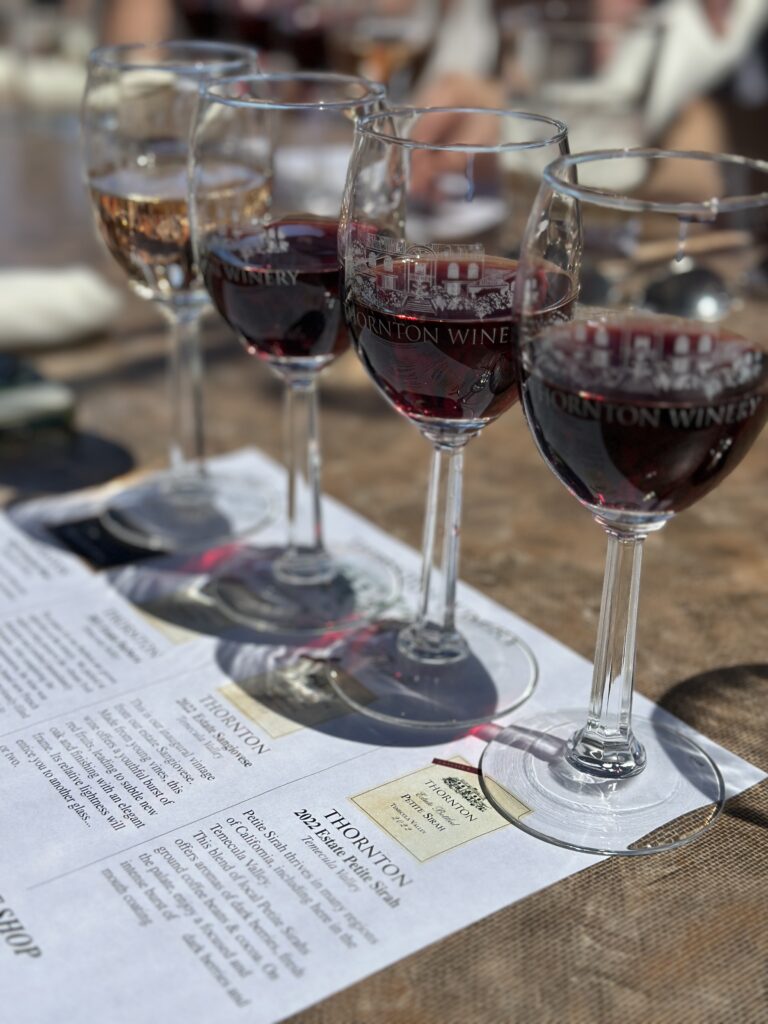 wine glasses on the table during a wine tasting