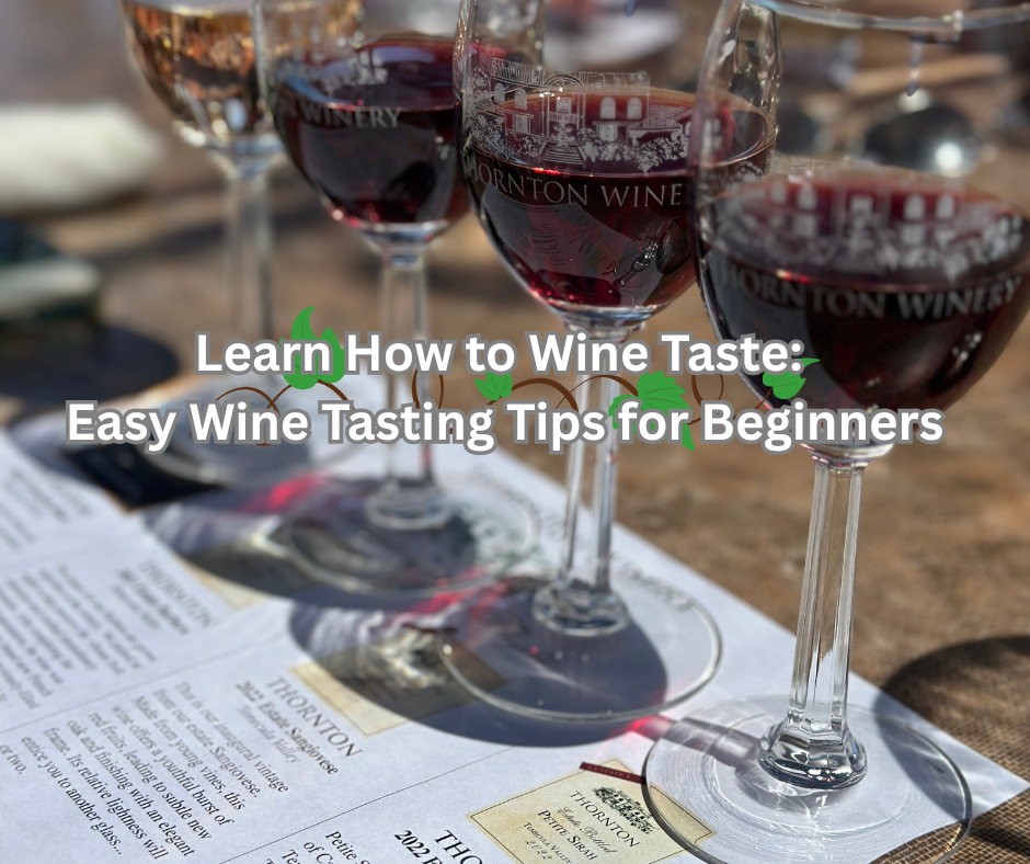 learn how to taste wine: easy wine tasting tips for beginners